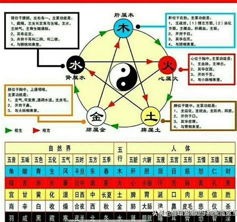 木生火 火生土 土生金 金生水|卷一·天人解·五行生克